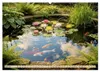 Oase im Garten (Wandkalender 2027 DIN A2 quer), CALVENDO Produktbild-Vorschau 9