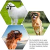 Kleine Hundebrille Schutzbrille,Anti-Fog-Haustierbrille Produktbild-Vorschau 4