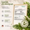 Sonnesee Premium Darmflora 38 Stämme – 50 Mrd. KBE mit Zink Produktbild-Vorschau 8
