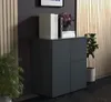 A dark gray sideboard with books and a plant on top, set against a dark wall and a slatted wood panel. Produktbild-Vorschau