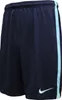 NIKE MENS DRI-FIT Short Shorts Sporthose Freizeithose Produktbild-Vorschau 1