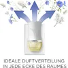 AIRWICK 3009586 Airwick Duftölf.Bavlna&Flieder Náhled obrázku produktu 5