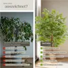tectake® Künstlicher Ficusbaum Fida verschiedene Größen Produktbild-Vorschau 4