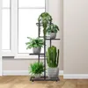 A multi-tiered black metal plant stand with several potted plants on display, placed near a window. Náhled obrázku produktu