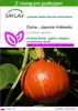 SAFLAX - Dynia - Japonia Hokkaido - 10 Nasiona - Z podłożem Podgląd zdjęcia produktu 1