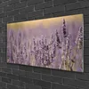 Acrylglasbilder 100x50 Wandbild Druck Blumen Pflanzen Produktbild-Vorschau 2