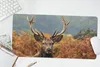 MuchoWow® Mauspad Mousepad Hirsch - Baum - Herbst 60x30 cm Produktbild-Vorschau 5