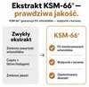 Wysoko skoncentrowane kapsułki Ashwagandha KSM-66 - 600 mg Podgląd zdjęcia produktu 3