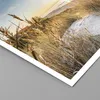 Poster - Poster ohne Rahmen - Ähren Küste Sonne - 70x50 cm Produktbild-Vorschau 2