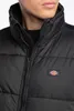 Dickies 329396 : Größe - XL Größe: XL Produktbild-Vorschau 15