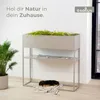 osoltus Pflanzkasten Raumteiler cube Warmgrey Grau Konsole Produktbild-Vorschau 2