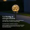 A solar-powered garden light with a glass globe filled with LED lights, placed in a garden setting at dusk. Produktbild-Vorschau