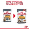 Royal Canin Hair & Skin 12x85g Nassfutter für ausgewachsene Produktbild-Vorschau 11