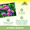 Neudorff  - Azet HortensienDünger 1L für 200L Gießwasser - Produktbild-Vorschau 5