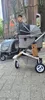 AirBuggy Dome 3 Premier Large - Erde Grau - Premium-Buggy Produktbild-Vorschau 7