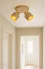 A hallway with a ceiling light fixture. Produktbild-Vorschau