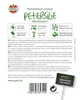 Petersilie ''Mooskul 2'' dicht gefüllt, schnellwüchsig, Produktbild-Vorschau 4