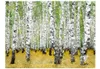 Basera Fototapete Waldmotiv 10040903-63, Vliestapete, Produktbild-Vorschau 2