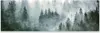Obraz na plátně LAS WE MGLE Krajina Panorama 145x45cm Náhled obrázku produktu 2