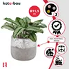 A plant in a pot with various marketing icons and text. Anteprima dell’immagine prodotto