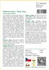 SAFLAX - Parfémový strom / Ylang Ylang - Cananga odorata - Náhled obrázku produktu 3