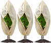 Protezione invernale per piante 85 g/m² Beige 80*100cm 3 Anteprima dell’immagine prodotto 1