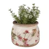 A decorative ceramic pot with a floral design containing a small green plant with white flowers. Anteprima dell’immagine prodotto