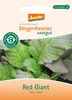 Asia-Salat Red Giant, scharfer Senfgeschmack, leicht zu Produktbild-Vorschau 8