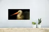 MuchoWow® Poster Vogel - Schnabel - Federn 40x20 cm - Produktbild-Vorschau 5