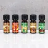 10er Set Weihnachtsduft Duftöle je 10ml für Duftlampen Produktbild-Vorschau 5