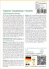 SAFLAX Garden in the bag - Tropischer Tomatenbaum / Produktbild-Vorschau 3
