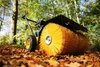 Texas Kehrmaschine Benzin 60cm Schneekehrmaschine mit Produktbild-Vorschau 5