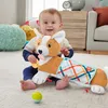 Coussin de jeu 3 en 1 pour chien Fisher-Price, à placer sur Voir les images du produit 16