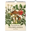 A4-Wandkalender mit historischen Illustrationen von Wildpflanzen, Kräutern und Pilzen. Produktbild-Vorschau