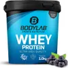 BODYLAB Whey Protein - 1000g - Blaubeere Produktbild-Vorschau 1