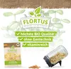 Keimsprossen Mungbohne |Keimsprossen von FLORTUS Produktbild-Vorschau 3