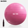 GORILLA SPORTS® Gymnastikball - inkl. Luftpumpe, 65 cm, bis Produktbild-Vorschau 4
