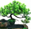 LED Rock Gardens Vnitřní fontána Stolní fontány Stromy Náhled obrázku produktu 6