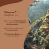 Pinienrindenextrakt Kapseln - 180 Kapseln à 660mg - mit 95% Produktbild-Vorschau 4