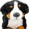Carl Dick Berneński pies pasterski, pies, ok. 40 cm 1542001 Podgląd zdjęcia produktu 11