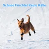Hundepfoten-Schutzschuhe (4 Paar)Schneestiefel für Produktbild-Vorschau 7