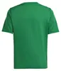 Camiseta Adidas Jersey Jr IA9157 Vista previa de la imagen del producto 2