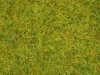 NOCH Scatter Grass “Summer Meadow”, Zelená Náhled obrázku produktu 2