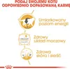 Diagrams illustrating features of cat food. Produktbild-Vorschau