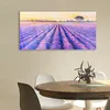 Coloray Acrylbild 100x50  Wandbild Acrylbilder Deko Produktbild-Vorschau 3