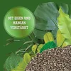 LERAVA® Dünger Zimmerpflanzen - 800g x 2 - Produktbild-Vorschau 3