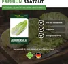 Zichoriensalat Zuckerhut Samen - Cichorium intybus - Produktbild-Vorschau 8