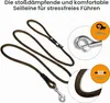Curli Stretch Comfort lead hnedá M Náhľad obrázku produktu 2