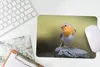 MuchoWow® Mauspad Mousepad Pfahl - Rotkehlchen - Natur Produktbild-Vorschau 5