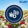 Coccolino Perfume & Care Peony & Apple Weichspüler 1610ml Produktbild-Vorschau 4